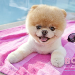 vong veng prus srolanh