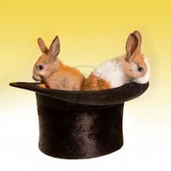 THE WIZARDS RABBIT TRICK 01