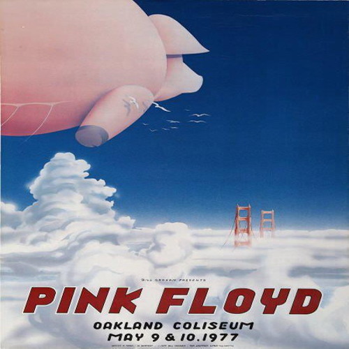 Pigs (Three Different Ones) - Live