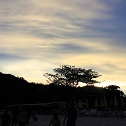 Hope the flowers - I can't be on earth