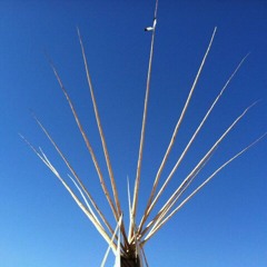 TiPi TuNez...2013 LA, Az