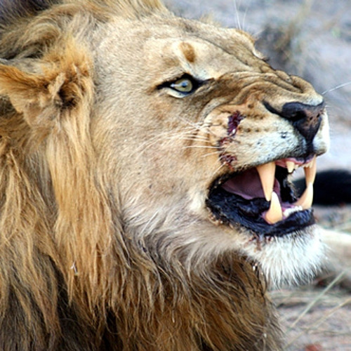 Vitax - Play VIP [MASHUP]