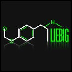 Gem Club - Twins (Von Liebig Edit)