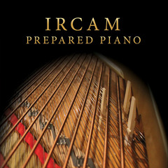 IRCAM Prepared Piano | Demo by Christophe Michel (100% IRCAM Prepared Piano)