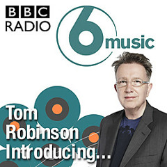 No Time For Goodbyes ft. Christen Kwame (Tom Robinson's BBC Radio 6 Introducing Mixtape)