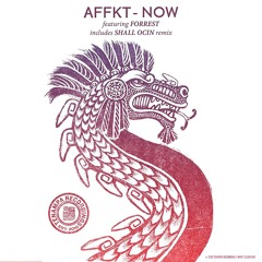 AFFKT Feat. forrest - Now (Shall Ocin Remix)