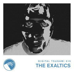 Digital Tsunami 015 - The Exaltics