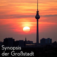 Synopsis der Großstadt