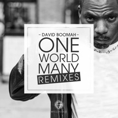 David Boomah - Where Do We Go From Here (One Love) - Calibre Remix - Friction BBC Radio 1