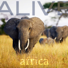 Alive - Africa EP (DTR007) [FKOF Promo]