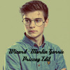 Wizard - Martin Garrix vs Firebeatz (Prizzay Mashup)