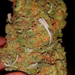 Do You Ft Hollow, Whoodat