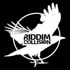 Ohmwerk Live @ Riddim Collision Festival #15 - Lyon (France)