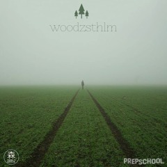 WoodzSTHLM - HighTide ft. Olle Grafström (Original Mix)