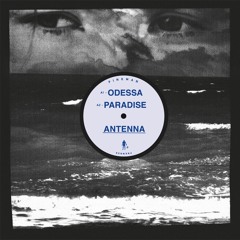 PNKMN06 - ANTENNA - ODESSA EP (OUT NOW 09-05)