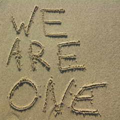 We Are One (Latitude Mashup)- Krewella vs. Sick Individuals vs. Digital Militia vs. dBerrie