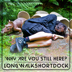 Why Are You Still Here?  - Longwalkshortdock