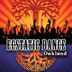 Sharu @ Ecstatic Dance - Sunday Morning - 1-26-14