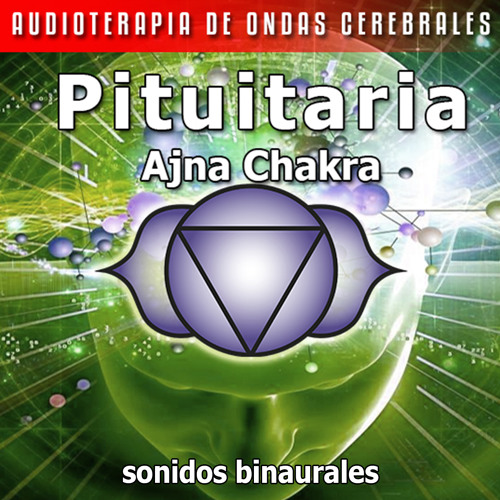 Pituitaria - Ajna Chakra