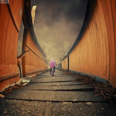 Fall Love - Spring Podcast