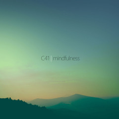C41 - MINDFULNESS