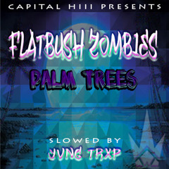 Flatbush Zombies - Palm Trees (slowed By YVNG TRXP)
