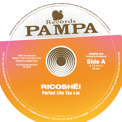 Perfect Like You (Preview) - PAMPA020 (96kbps)