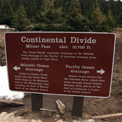 Either - Or by Charles Leiter