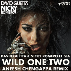 Wild One Two - David Guetta & Nicky Romero ft. Sia (Aneesh Chengappa Bootleg)