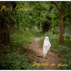 MOCK ORANGE-Sidewalk