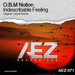 O.B.M Notion - Indescribable Feeling (Original Mix Rip)
