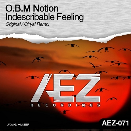 O.B.M Notion - Indescribable Feeling (Original Mix Rip)