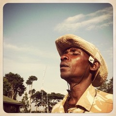 When the lions come out to play/American Son