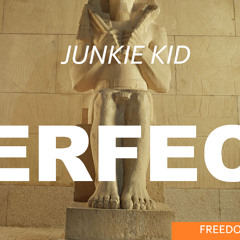 Junkie Kid  - Perfect! ( Original Mix ) FREE DOWNLOAD
