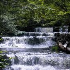 Stream (Twarres/arr. Elke De Meester) performed by some of my students