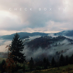 CheckBox 11. Slow and low