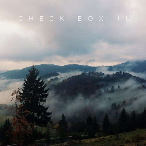 CheckBox 11. Slow and low