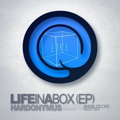 Life in a Box (Original Mix)