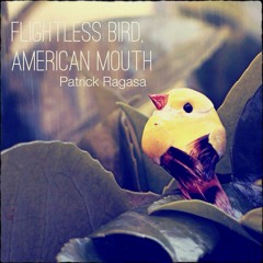 Flightless Bird, American Mouth
