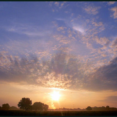 morning haze
