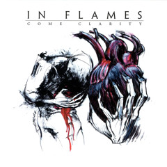 In Flames - Take This Life (Instrumental Cover/Mix)