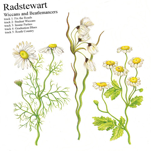 Radstewart - Insane Parties