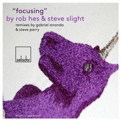 Rob Hes and Steve Slight - Focusing (Gabriel Ananda Remix)