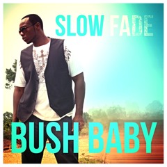 Bush Baby - Slow Fade