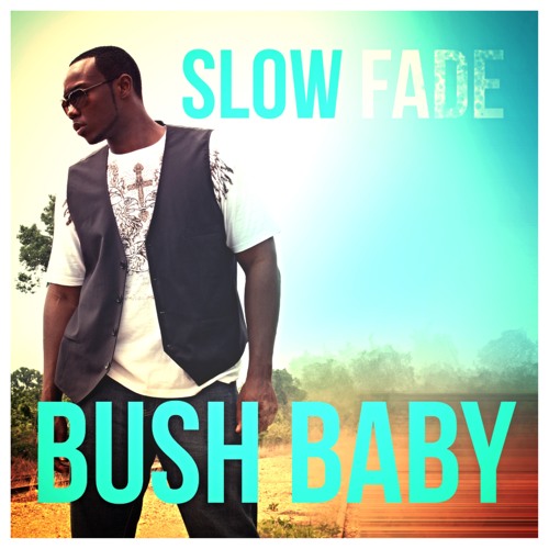 Bush Baby - Slow Fade
