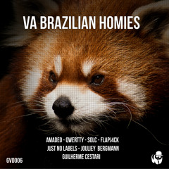 GVD006 - VA Brazilian Homies [OUT NOW]