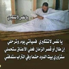 Abn El Shahed
