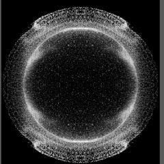 Liminoid_radiolarians_I