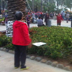 蒙自路sounds: People dance near Sanya Bay beach on Hainan Island (05:55 pm, part 2)