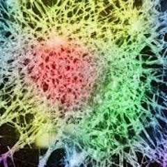 <---Akro---> [Original mix]